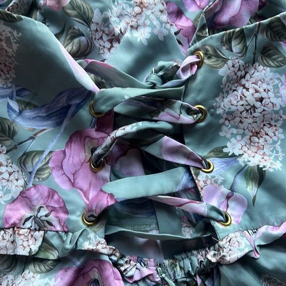 Show Me Your Mumu Lady Corset Mini Dress - Picture 14 of 15